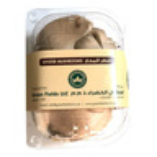 Picture of Oyster Mushroom UAE 100g(N)