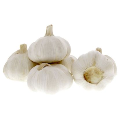 Picture of Garlic Pure White China Big 1pkt(N)