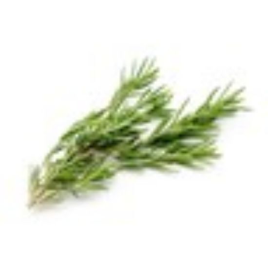 Picture of Rosemary Italy 1pkt(N)