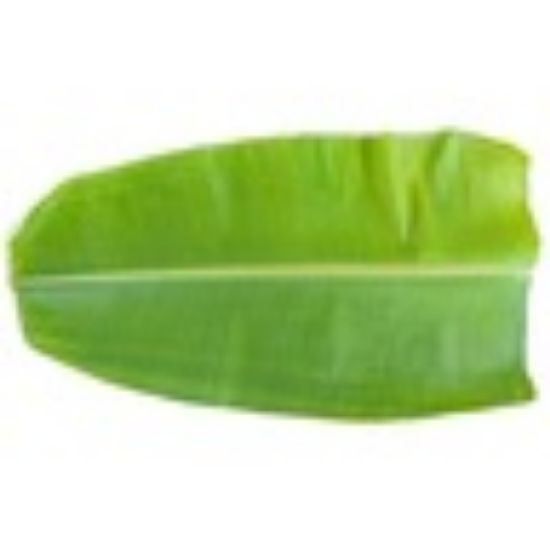 Picture of Banana Leaf India 1pc(N)