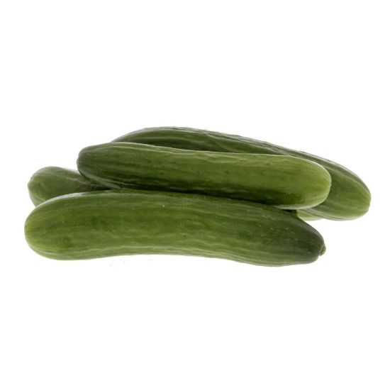 Picture of Cucumber 1.5kg(N)