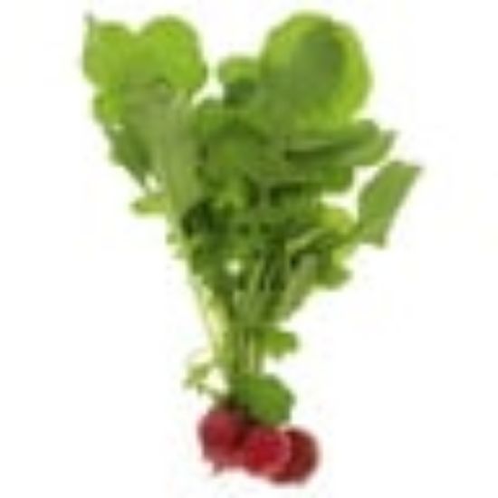 Picture of Red Radish Leaves 1 Bunch(N)