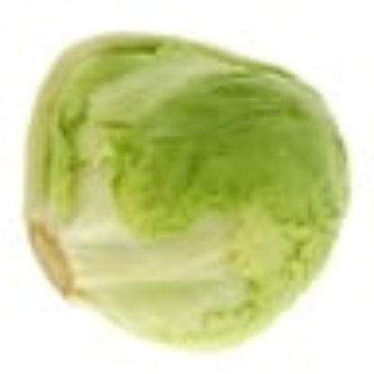 Picture of Iceberg Lettuce 500g(N)