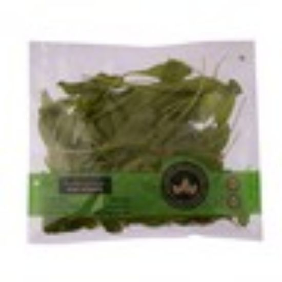 Picture of Baby Spinach 1pkt(N)