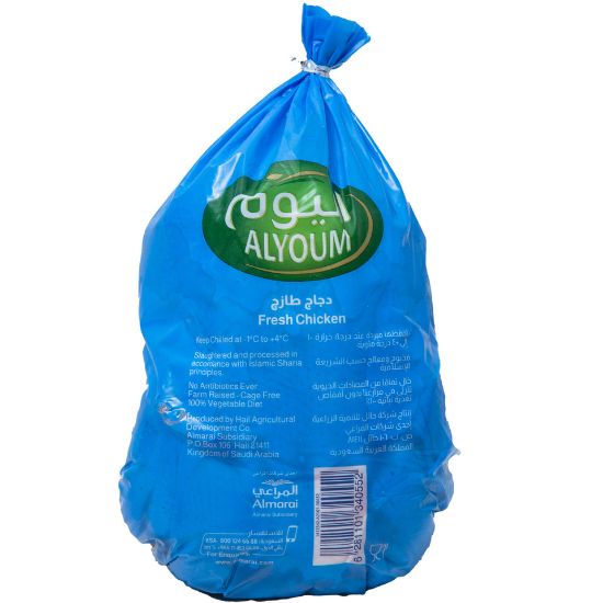 Picture of Alyoum Fresh Whole Chicken 1.2kg(N)