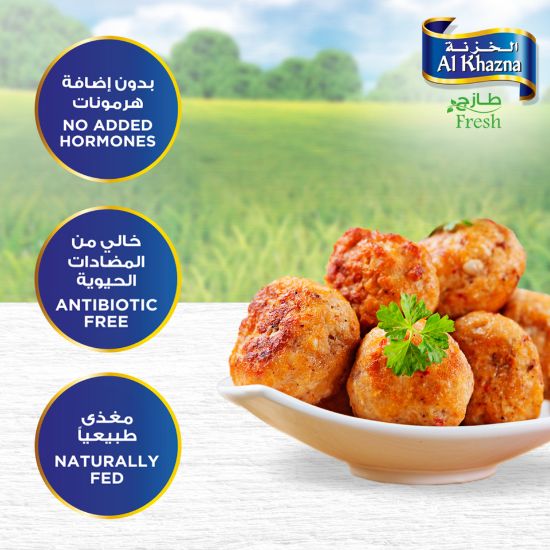 Picture of Al Khazna Fresh Chicken Mince 500g(N)