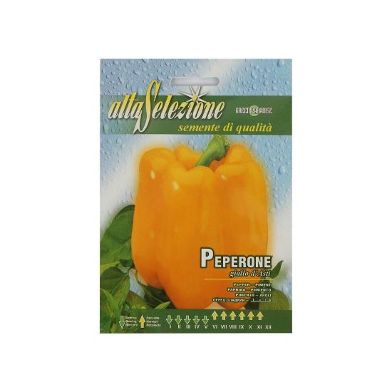 Picture of Alta Seeds Pepper Yellow Seeds AVS 97/1