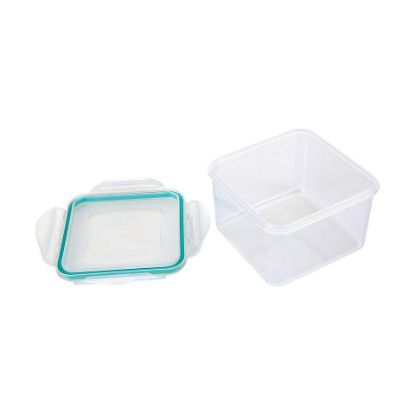 Picture of 4 Side Locked Container, Transparent, ZP012