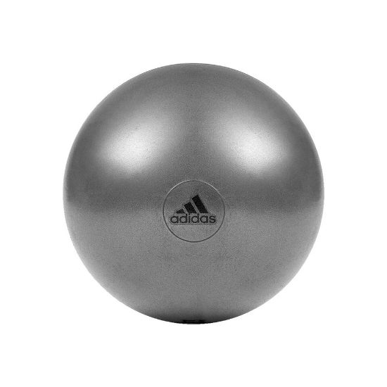 Picture of Adidas Gym Ball 65" ADBL-11246GR Grey