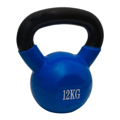 Picture of Sports Champion Kettlebell HJ-A036 12Kg Assorted Color