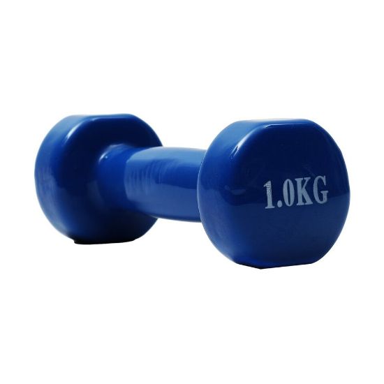 Picture of Sports INC Dumbbell 1kg SC-80040