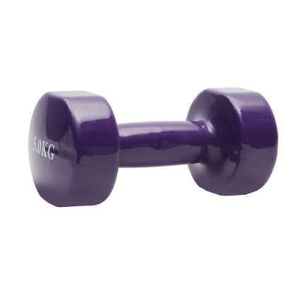 Picture of Sports INC Dumbbell 5kg SC-80040