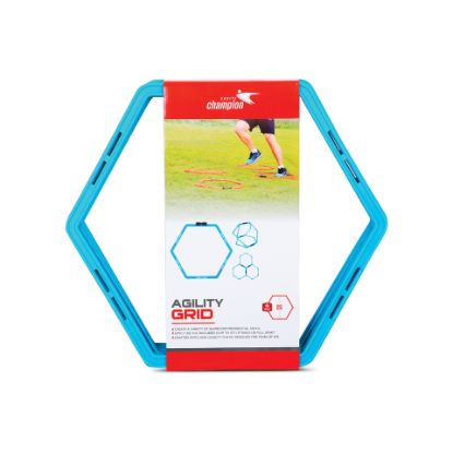 Picture of Sports Champion Agility Training Grid LP8612