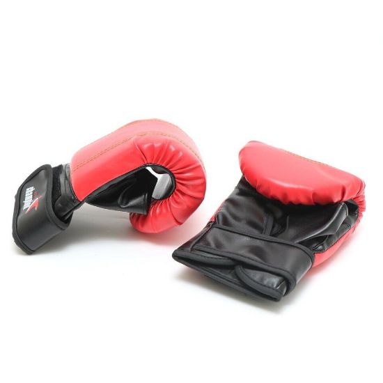 Picture of Sports Champion Boxing Gloves HJG2024 Assorted Color & Design