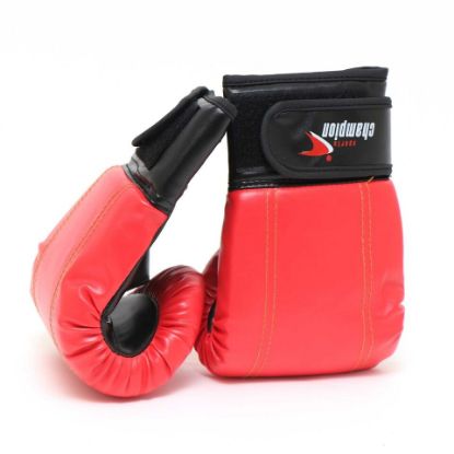 Picture of Sports Champion Boxing Gloves HJG2024 Assorted Color & Design