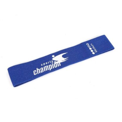 Picture of Sports Champion Training Band, Blue, IR97630S