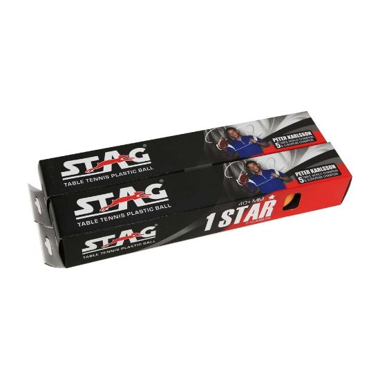 Picture of Stag Table Tennis Ball 1Star 12T TBAW-480D