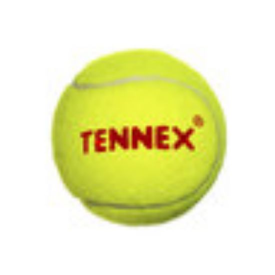 Picture of Tennex Cricket Tennis Ball Hard CQ