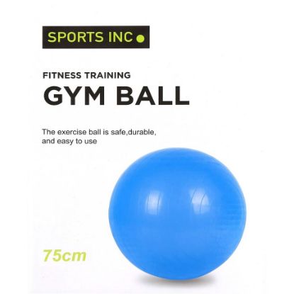 Picture of Sports INC GYM Ball IR97402 75CM Assorted Color