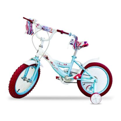 Picture of Spartan Disney Frozen Bicycle 16" SP-3105