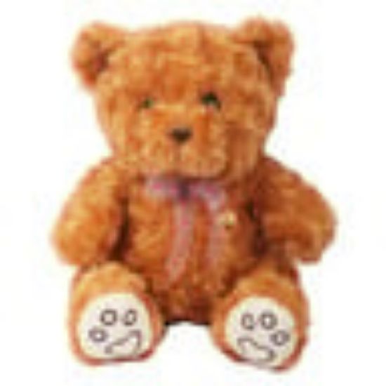 Picture of Fabiola Teddy Bear Plush 30cm AK022 Assorted Colors