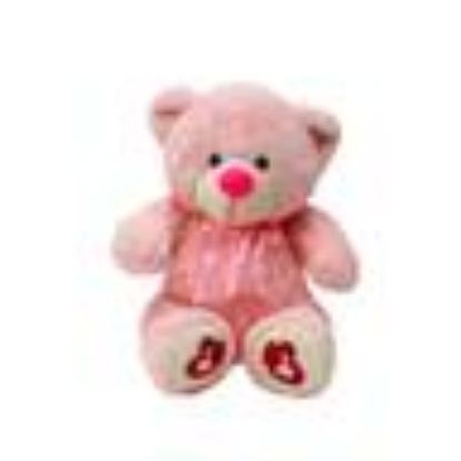 Picture of Fabiola Soft Bear Plush SY9022-34