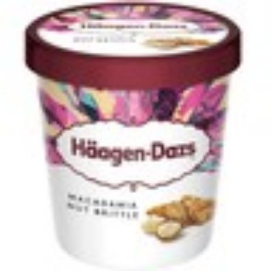 Picture of Haagen-Dazs Ice Cream Macadamia Nut Brittle 460ml