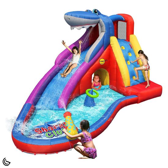 Picture of Happyhop Shark Club Slide 9417