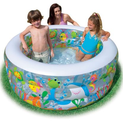 Picture of Intex Aquarium Pool 5848