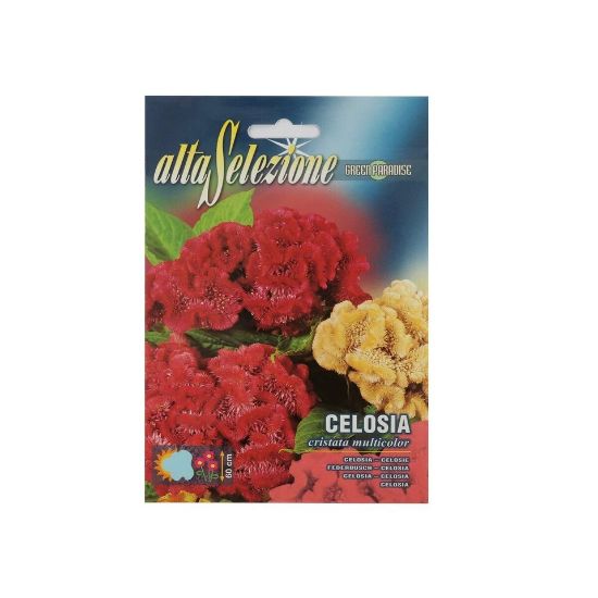 Picture of Alta Celosia Cristata Mixed Seeds