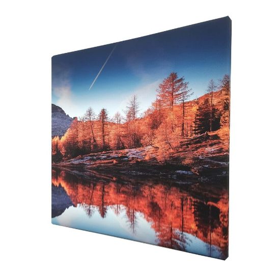 Picture of Maple Leaf Canvas Wall Picture With Wooden Frame 30x30cm