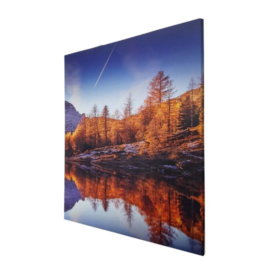 Picture of Maple Leaf Canvas Wall Picture With Wooden Frame 30x40cm