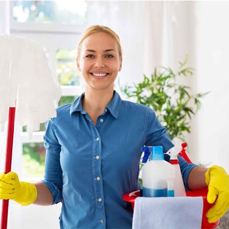 Picture for category Cleaners